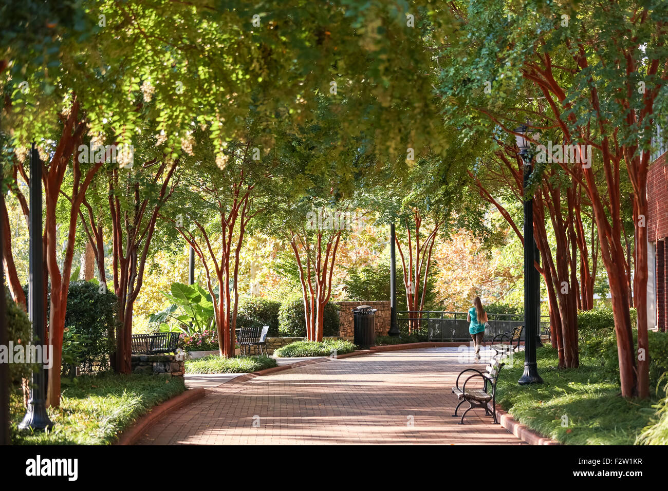 A walker along the Swamp Rabbit Trail and bike path in Falls Park on