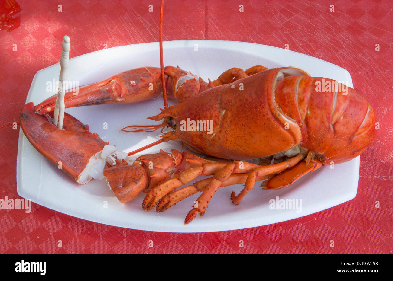 Bar Harbor Maine traditional lobster dinner with corn specialty of
