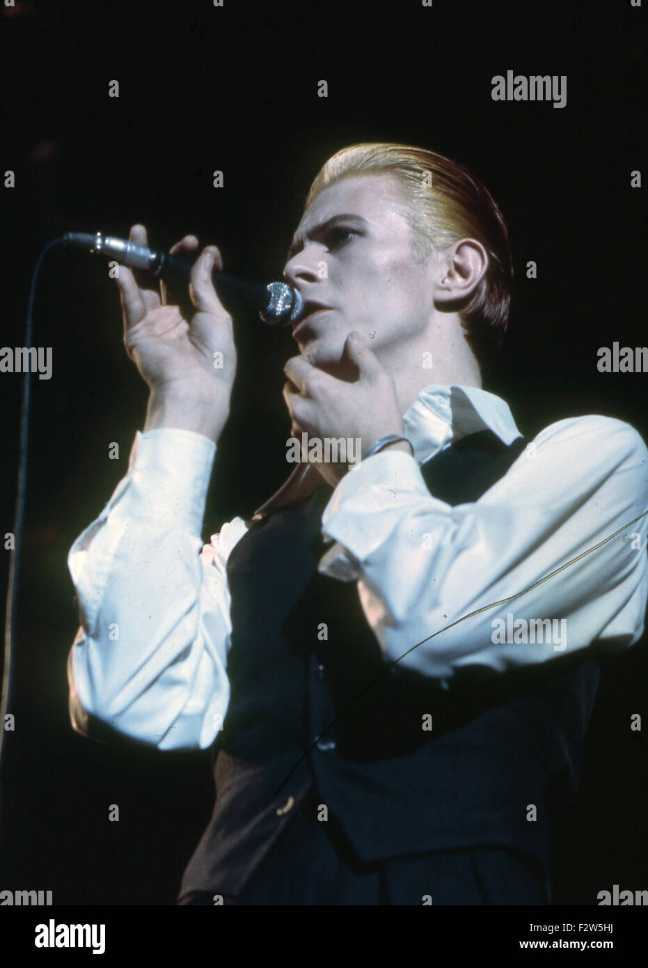 Thin White Duke