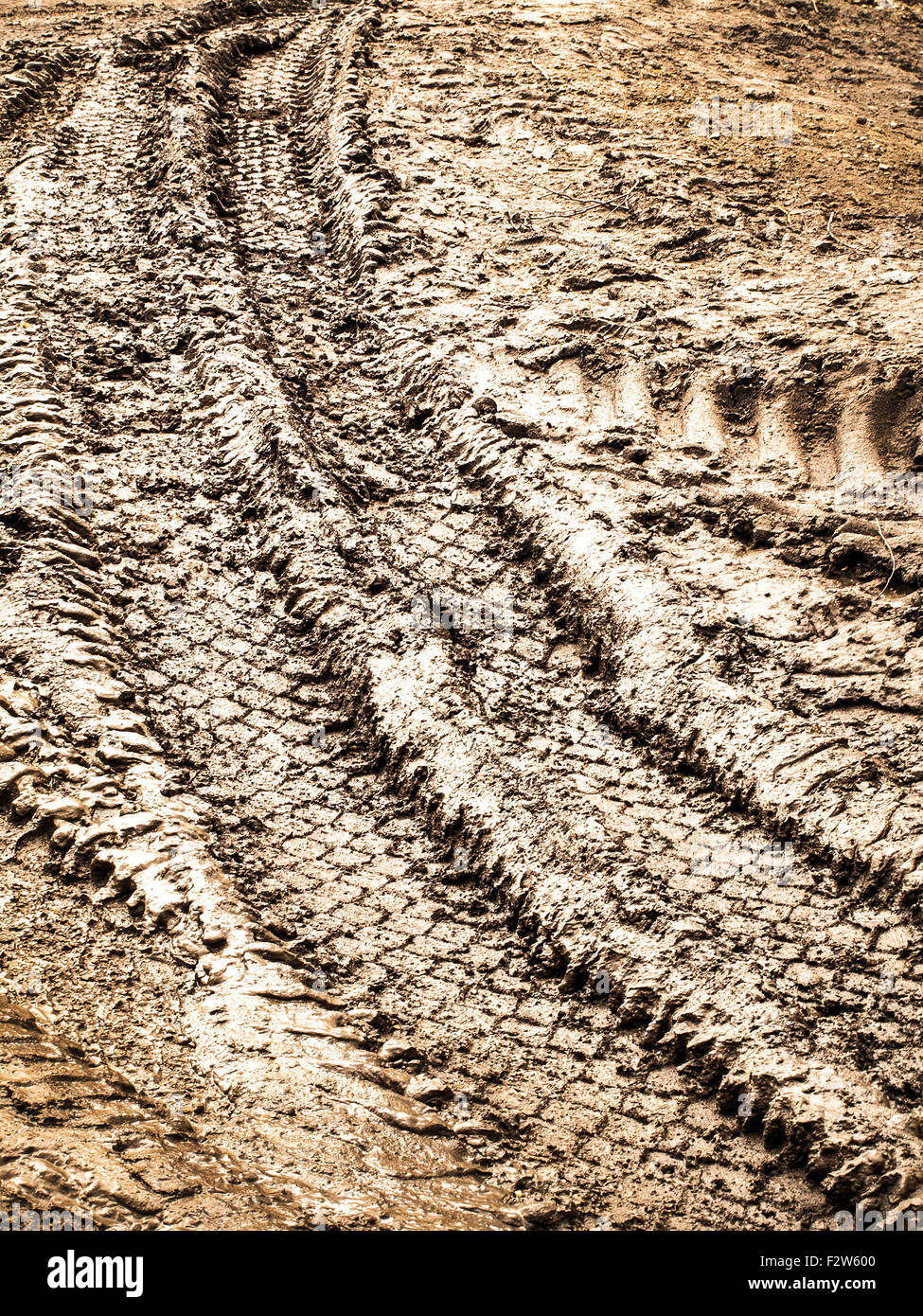 tire tracks in the mud Stock Photo Alamy