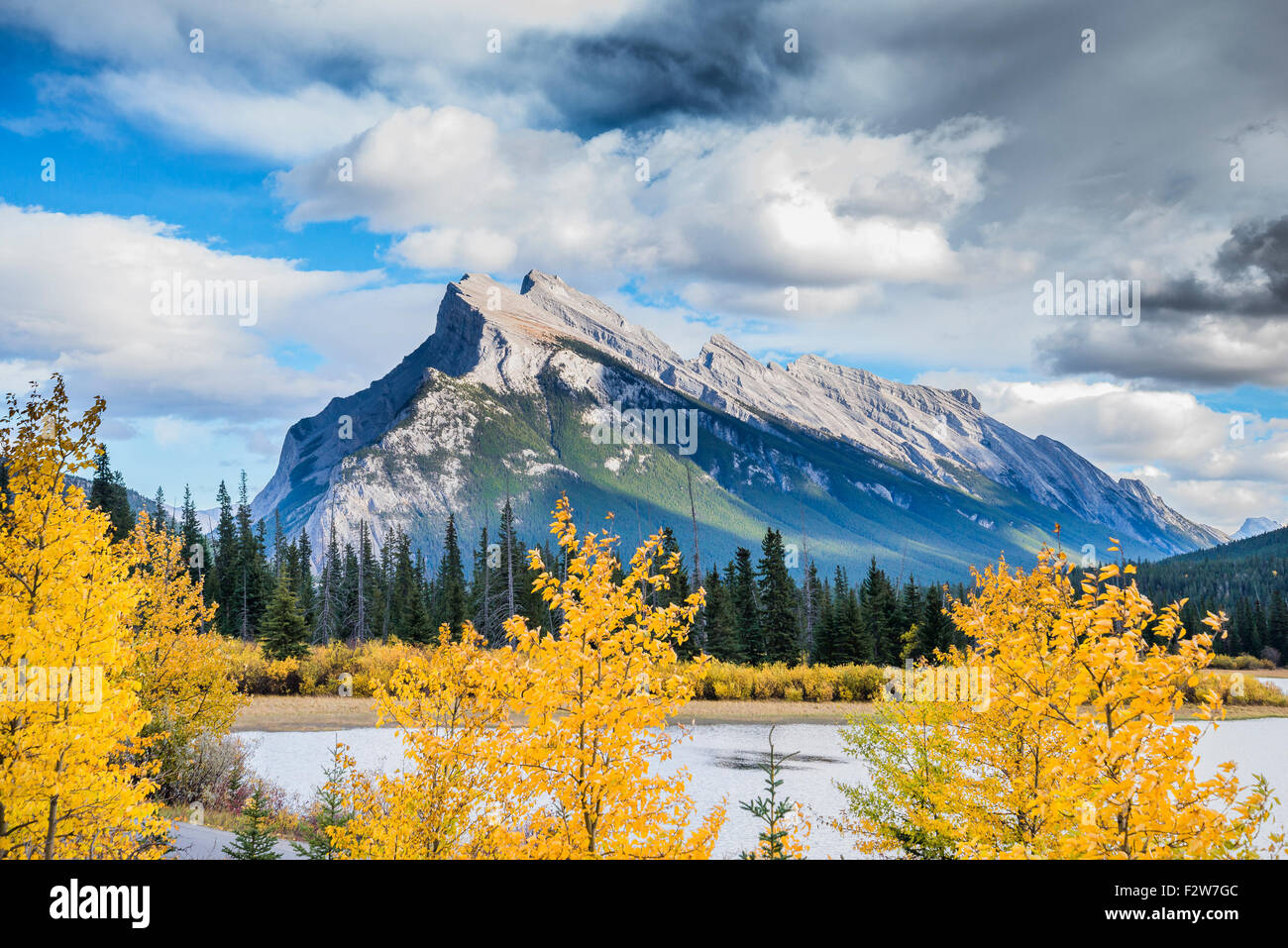 Aspen and Mount Rundle,  Banff National Park, Alberta, Canada Stock Photo