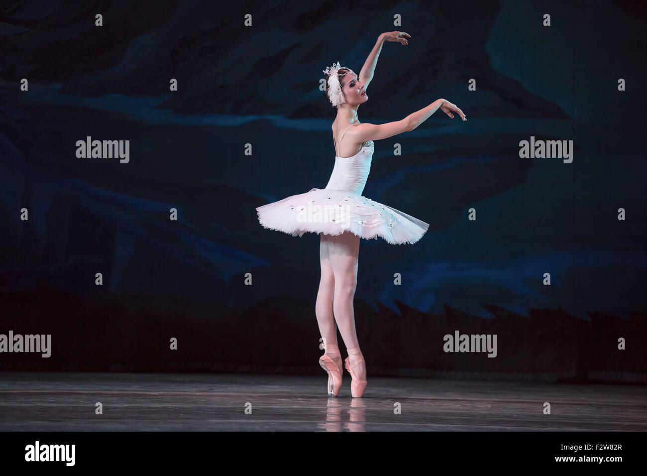 Prima ballerina white swan Stock Photo