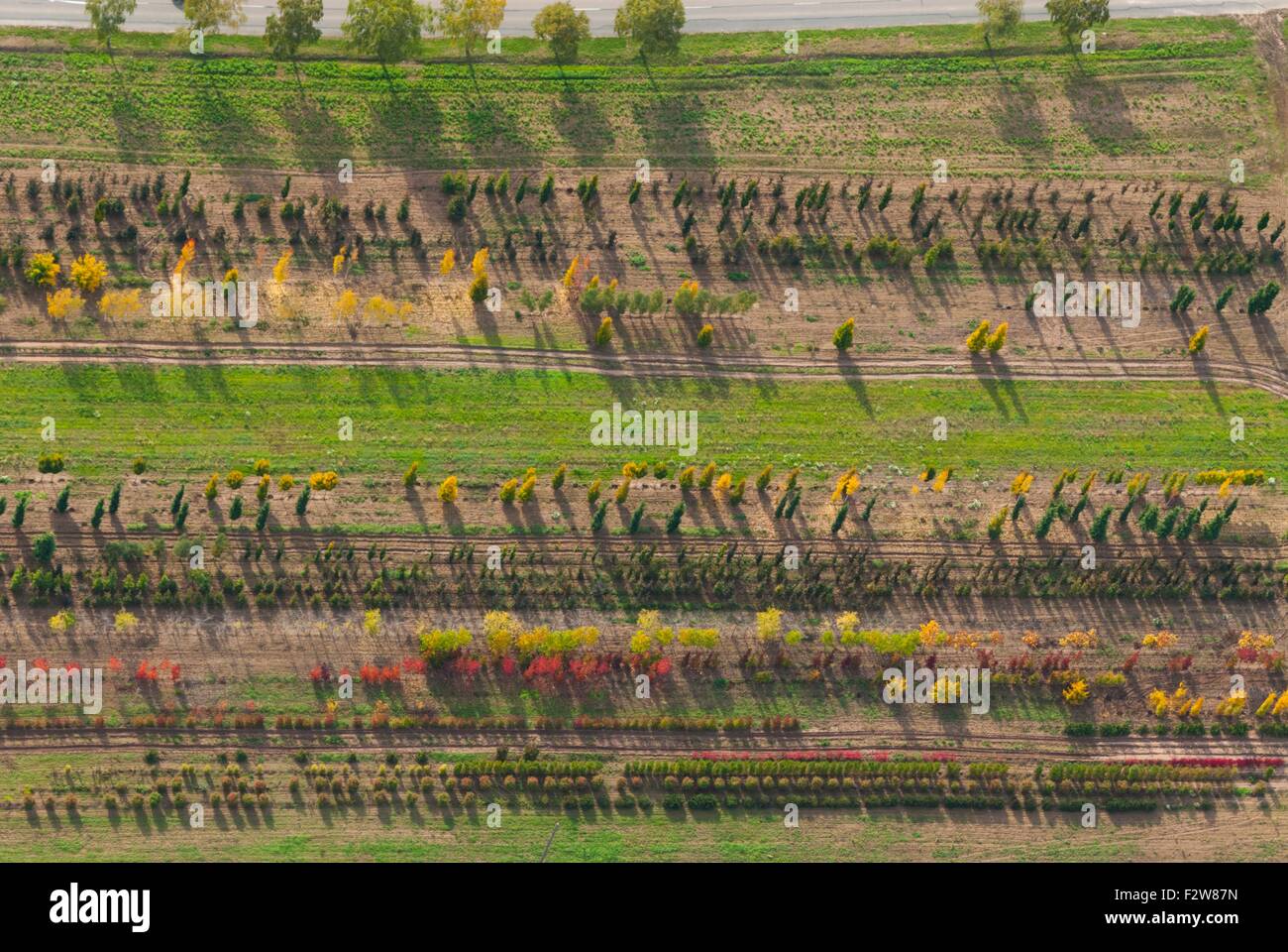 France, Haut Rhin (68), Rouffach, tree nursery (aerial view) Stock Photo