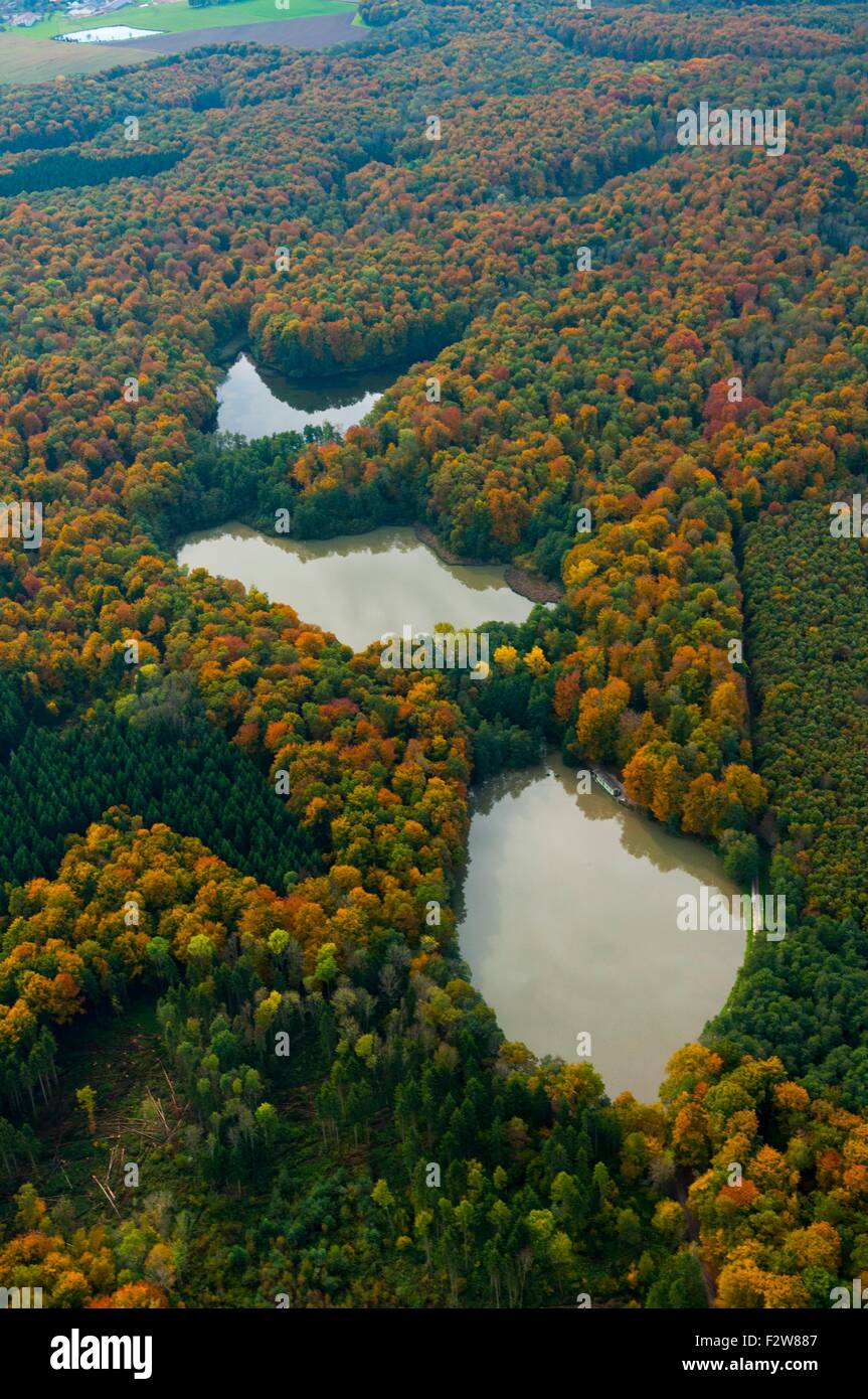France, Haut Rhin (68), Sundgau, Hirtzbach, lakes in forest during autumn (aerial view) Stock Photo