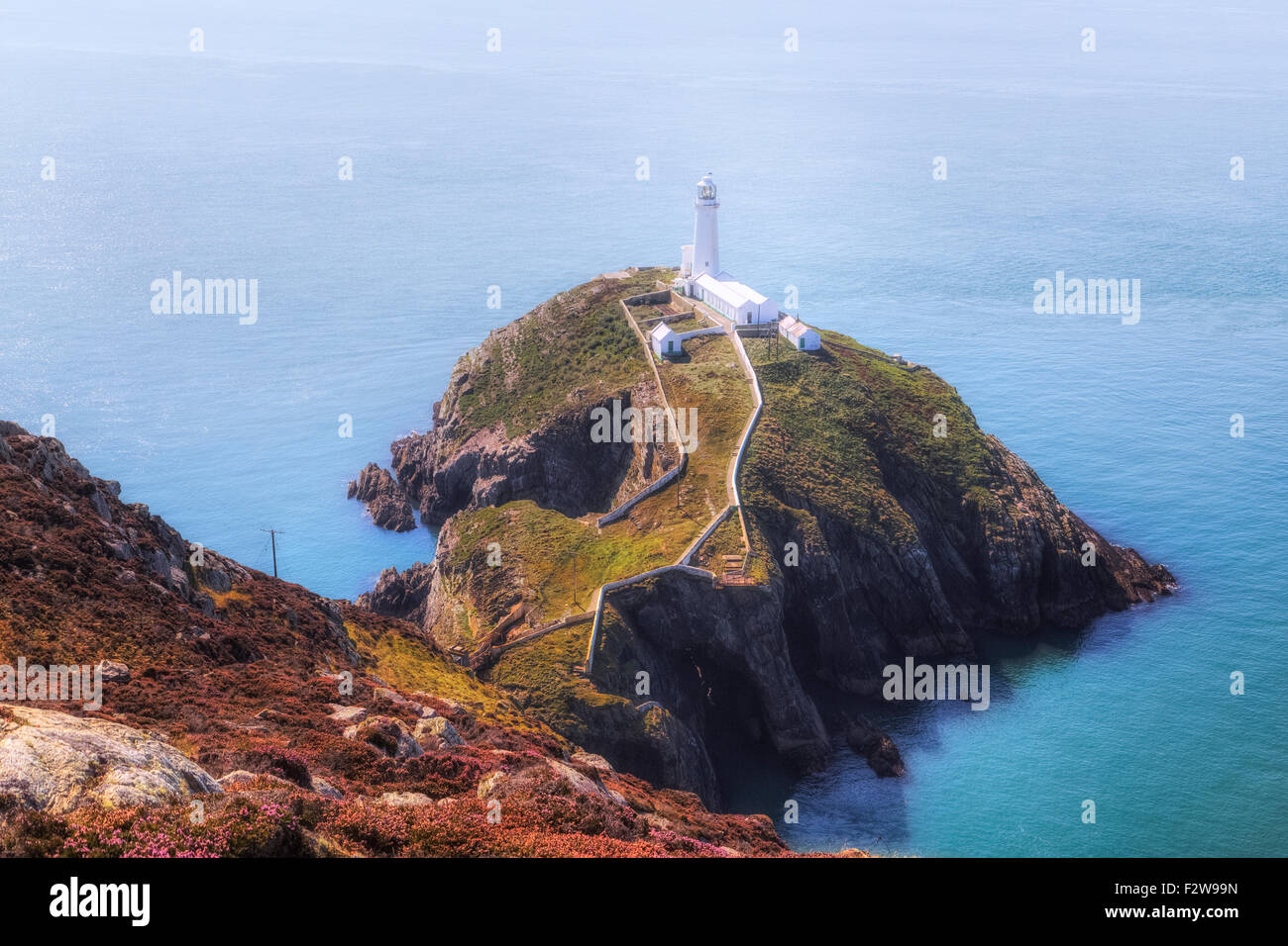 South Stack, Holy Island, Anglesey, Wales, United Kingdom Stock Photo