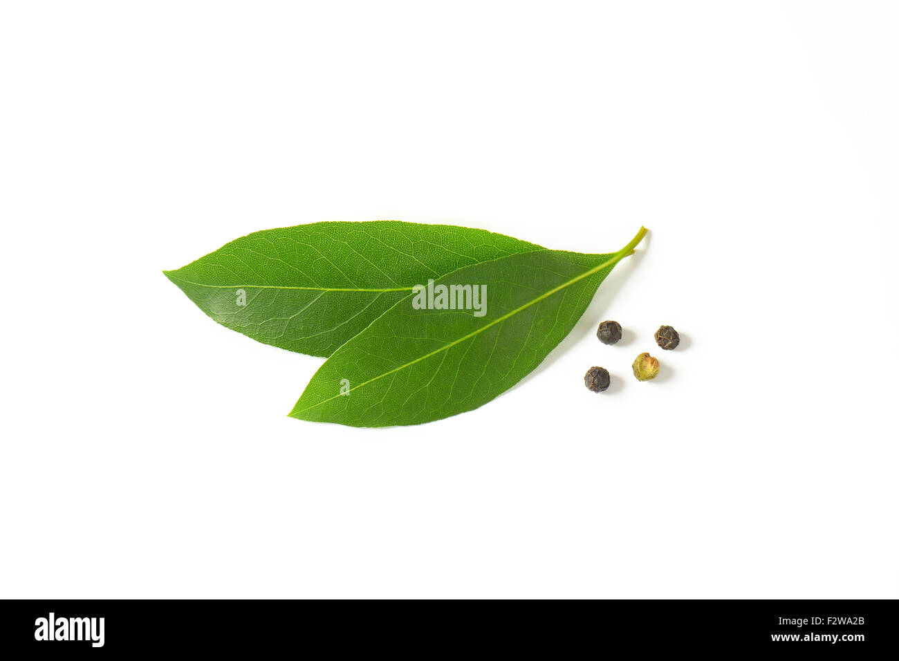 лавровый лист и черный перец. лавровый лист и перец горошком. лавровый лист перец горошек. лаврушка, чеснок, перец. душистый перец горошком и лаврушка.