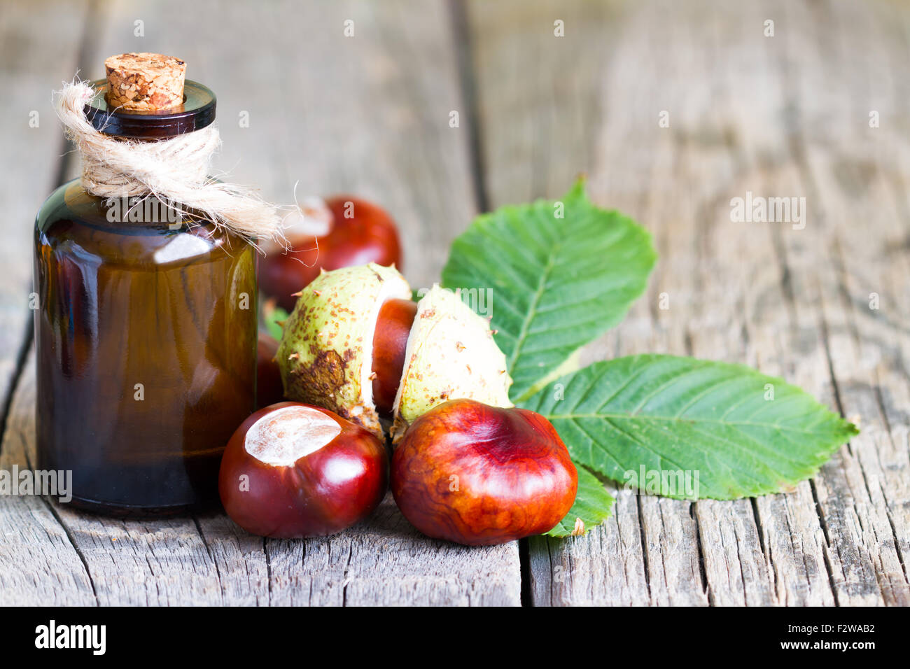 Chestnut extract in the bottle closeup on boards Stock Photo