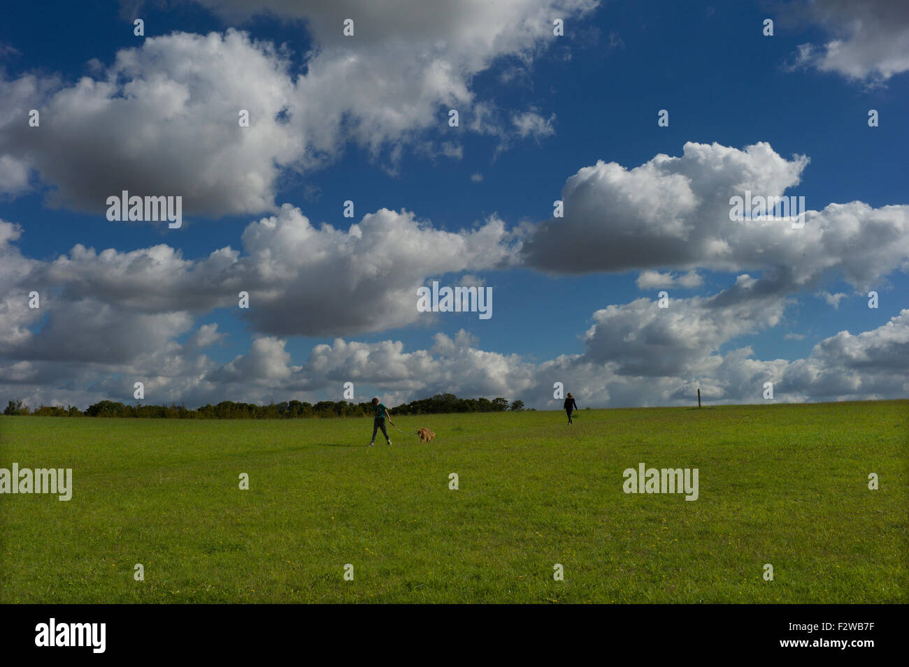 Gog and magog map england hires stock photography and images Alamy