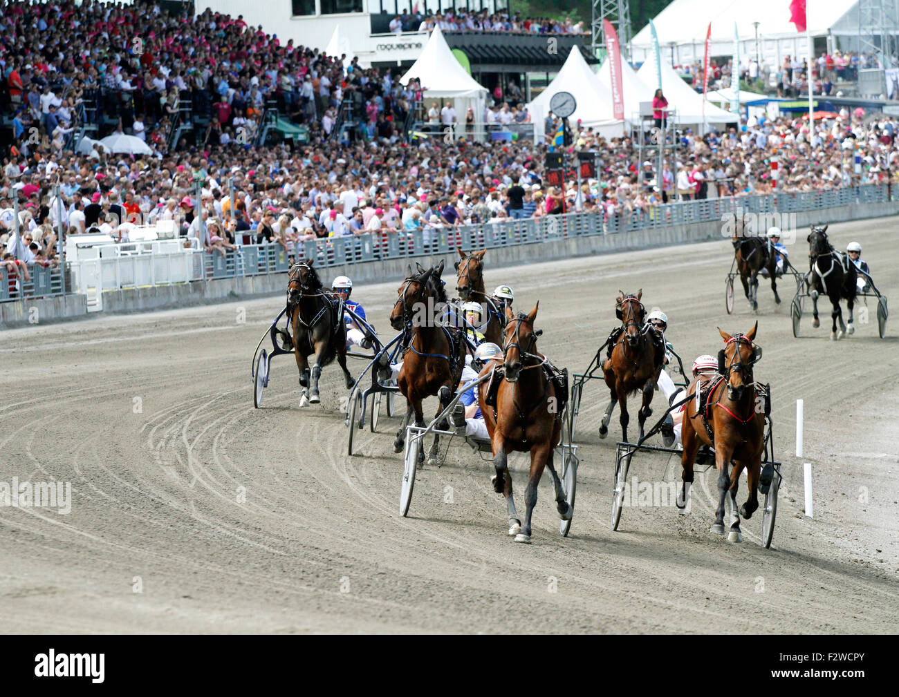 24.05.2014, Stockholm, Stockholms laen, Schweden - Trotting on the trotting track Solvalla. 0MK140524D519CAROEX.JPG - NOT for Stock Photo