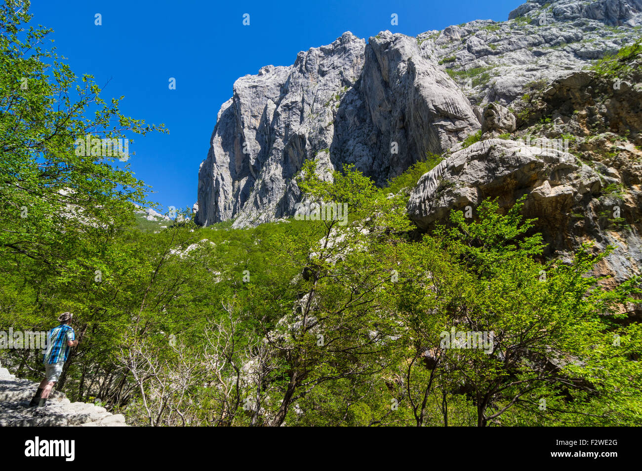 Hiking in the canyon of National park Paklenica, Croatia Stock Photo