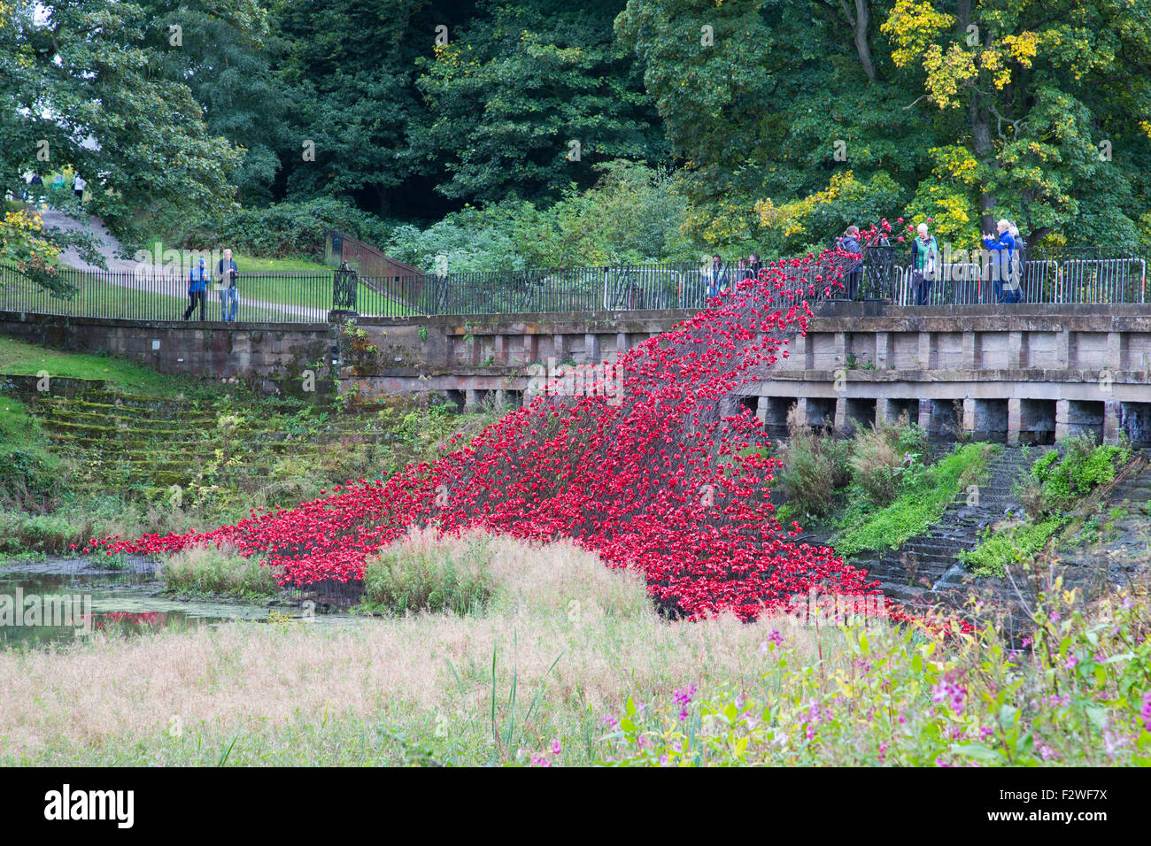 Red poppies 'Wave' exhibition of Tower of London poppies at the Yorkshire Sculpture Park. Blood Swept Lands and Seas of Red Stock Photo