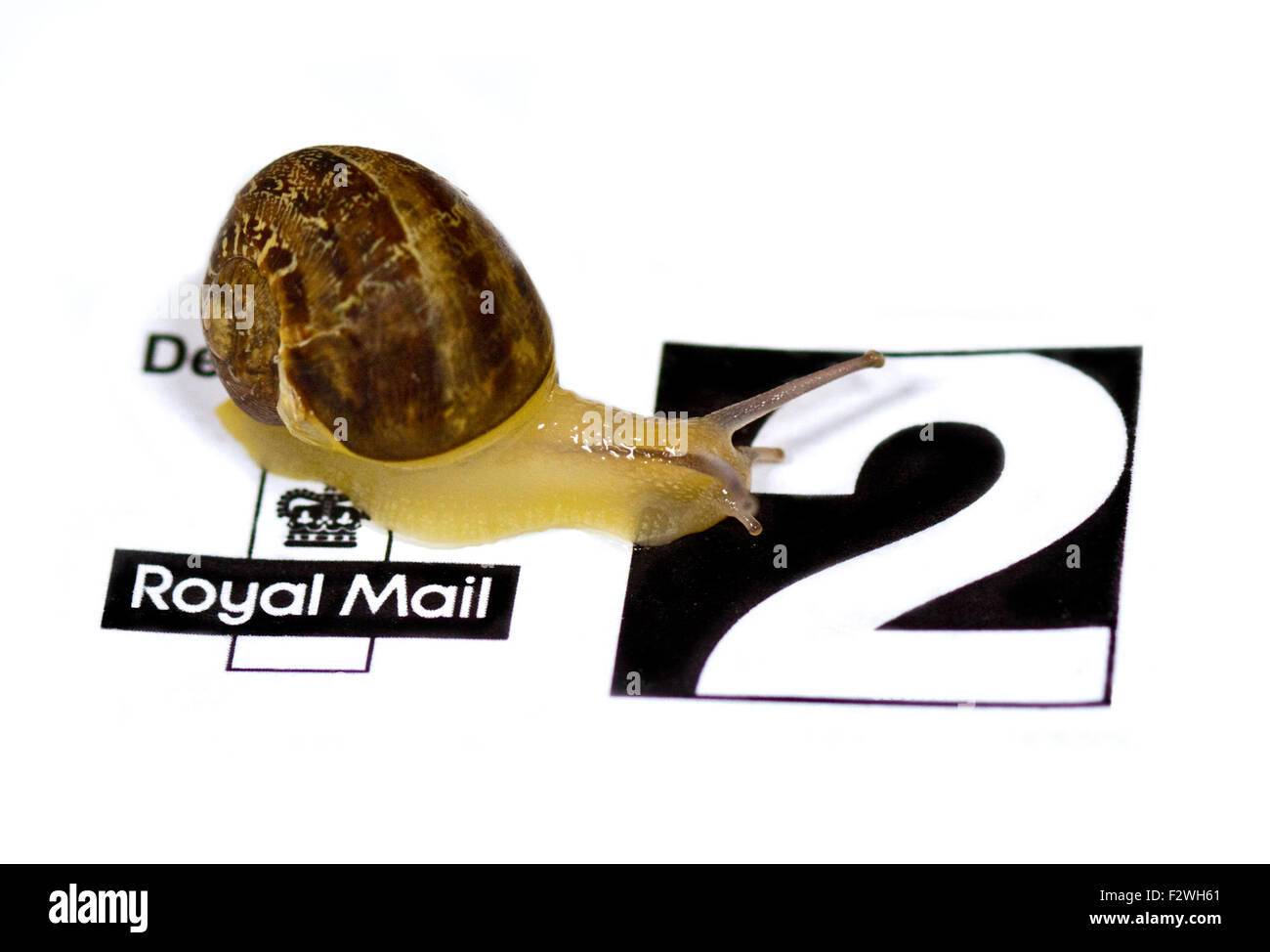 Snail Mail Stock Photo