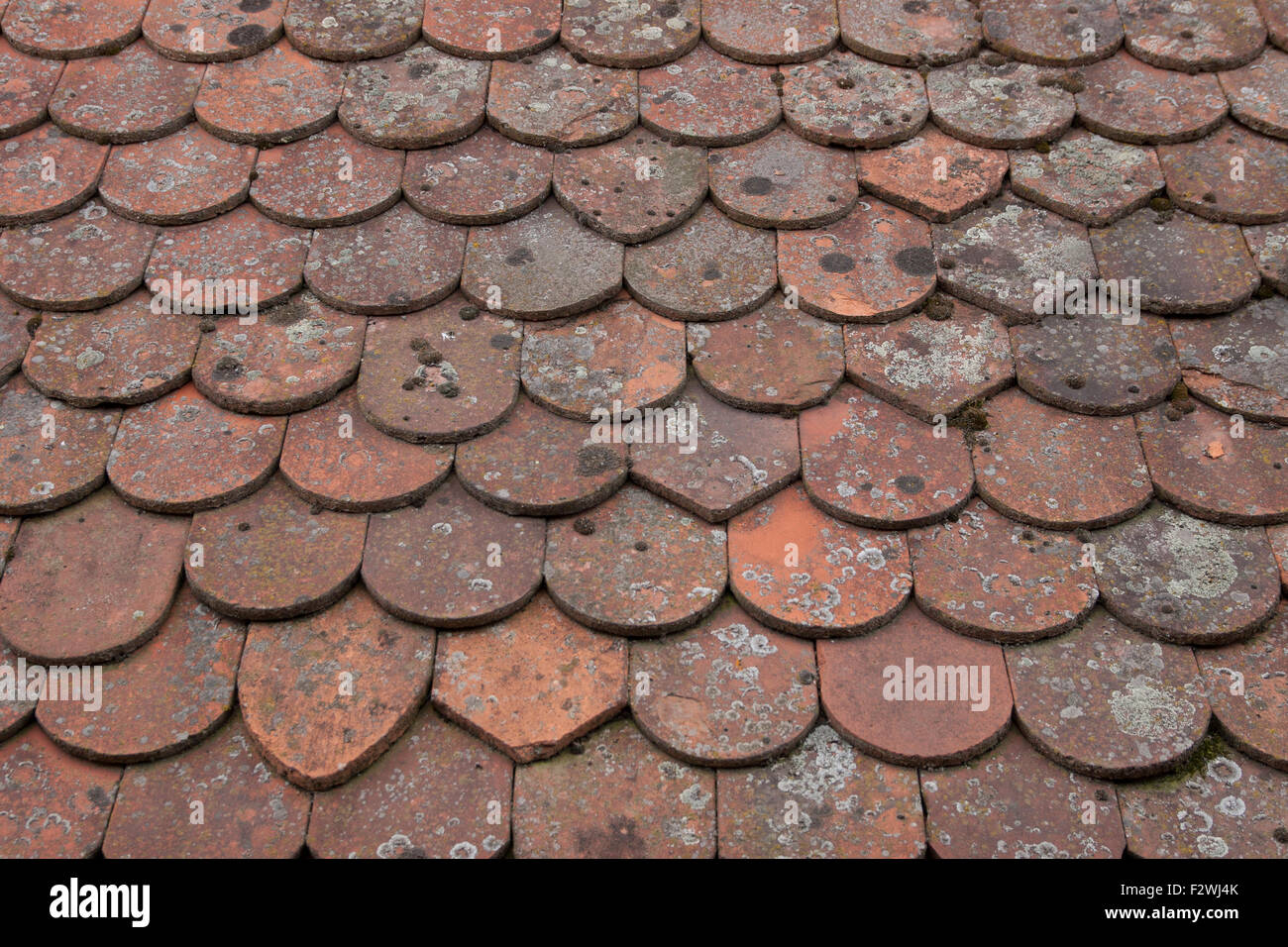 Old Roof Tiles Germany Stock Photo