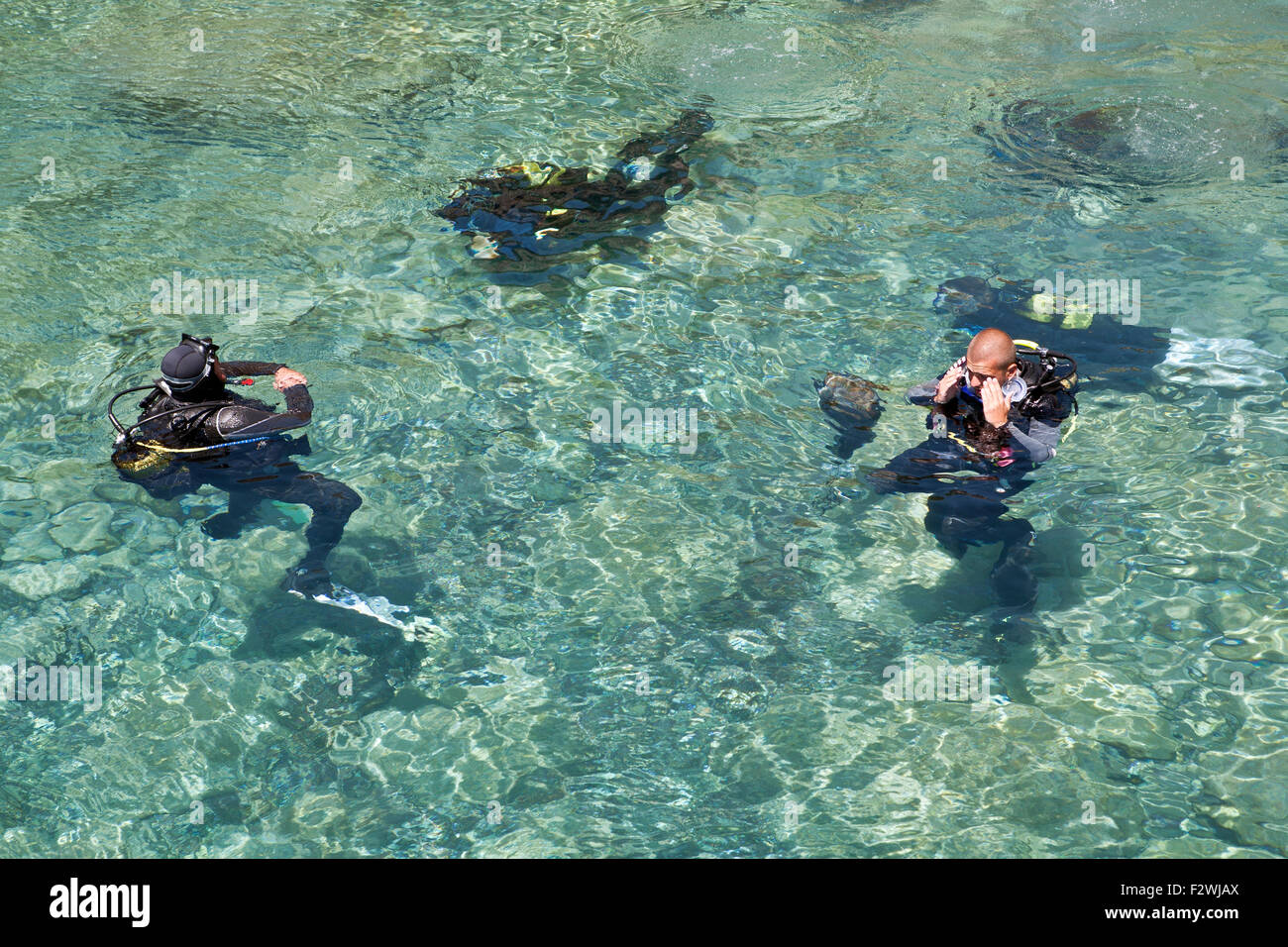Scuba diving session Stock Photo