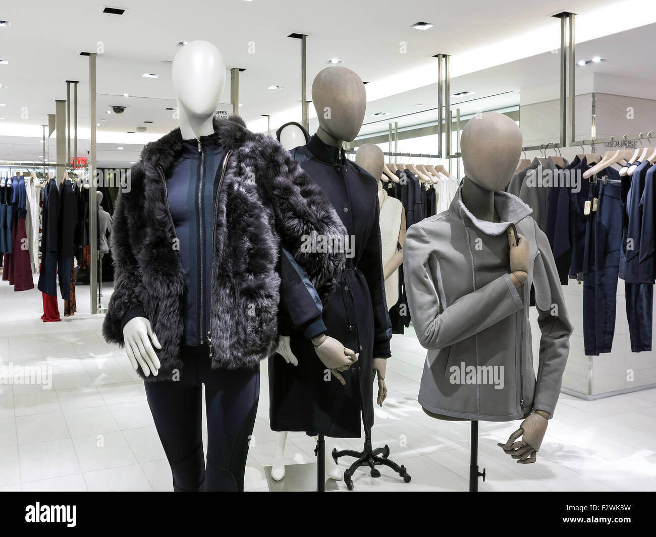 Bergdorf Goodman Luxury Department Store Display, NYC Stock Photo Alamy