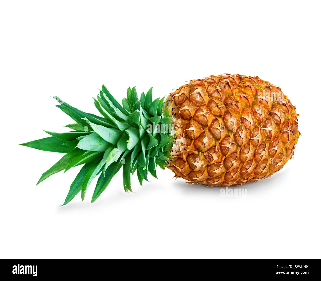My Image 3