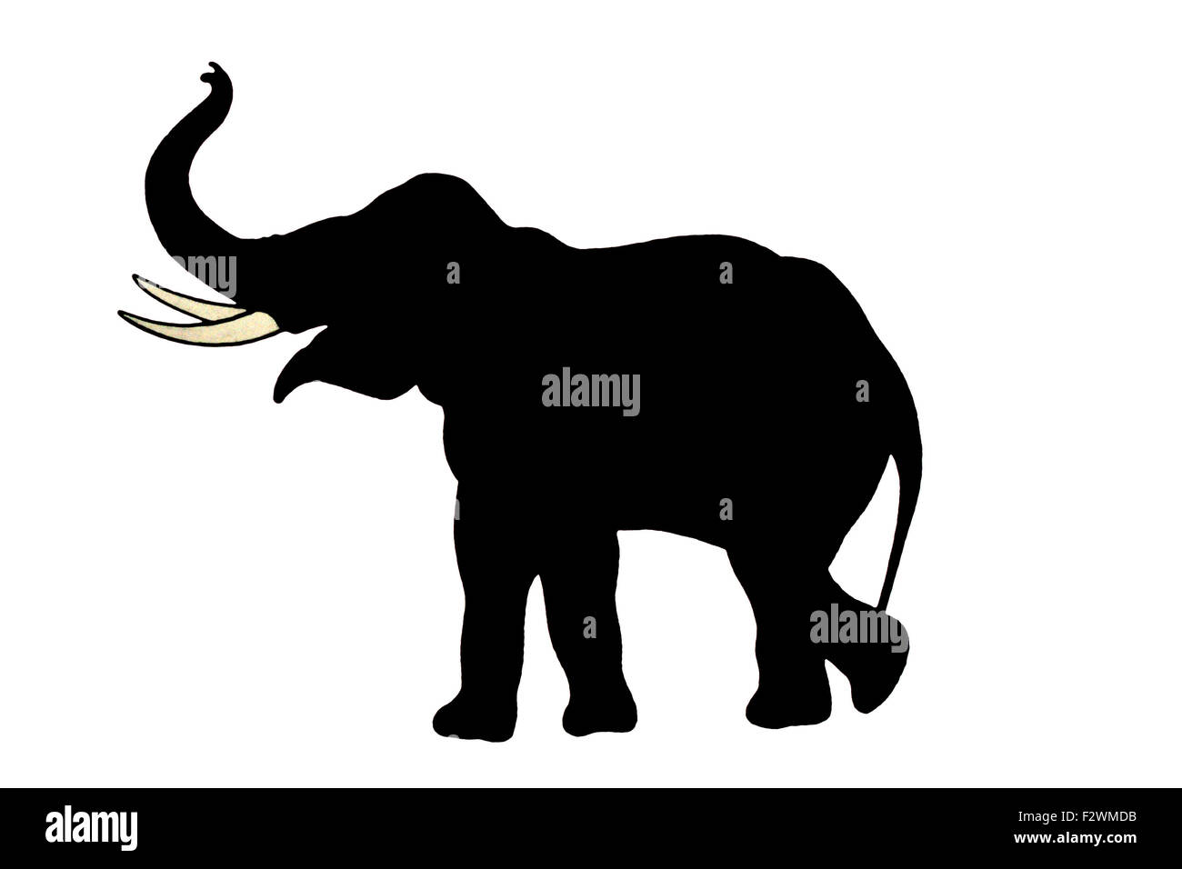 Indian elephant Cut Out Stock Images & Pictures - Alamy