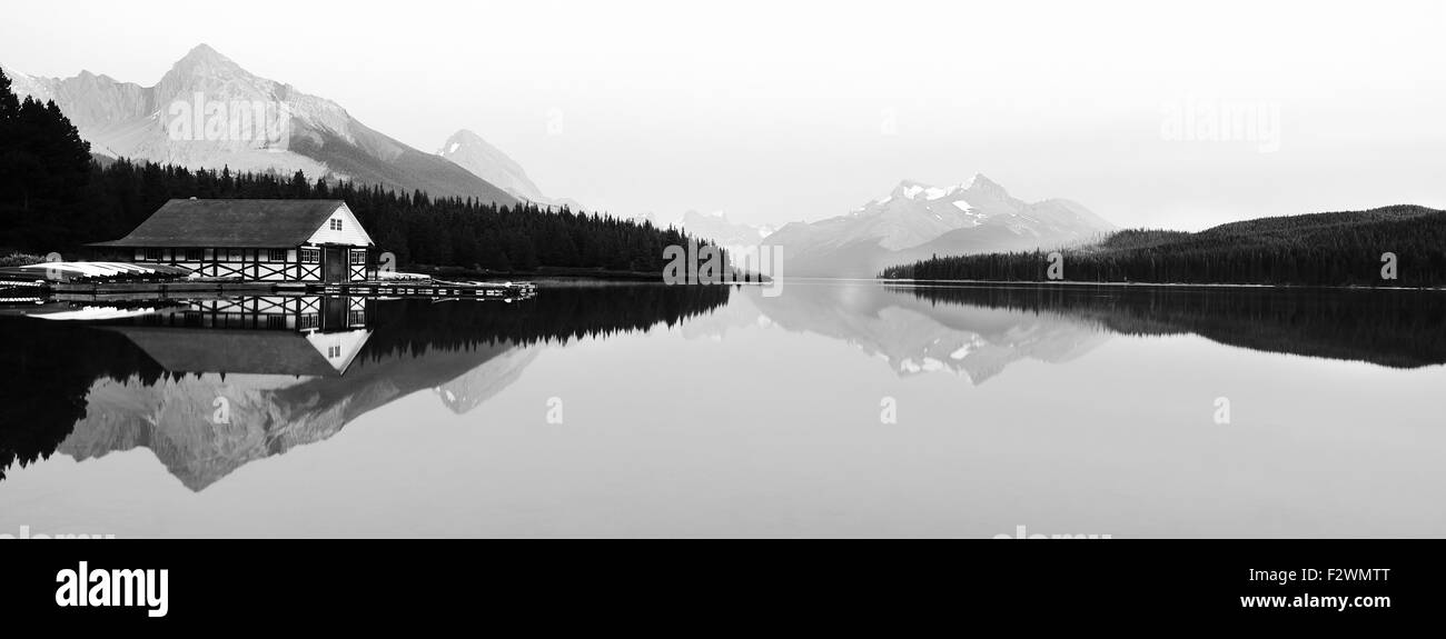 Black And White Trees High Resolution Stock Photography and Images - Alamy