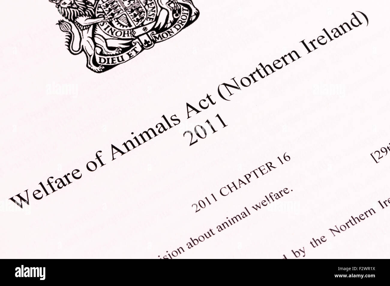Welfare of Animals Act (Northern Ireland) Stock Photo