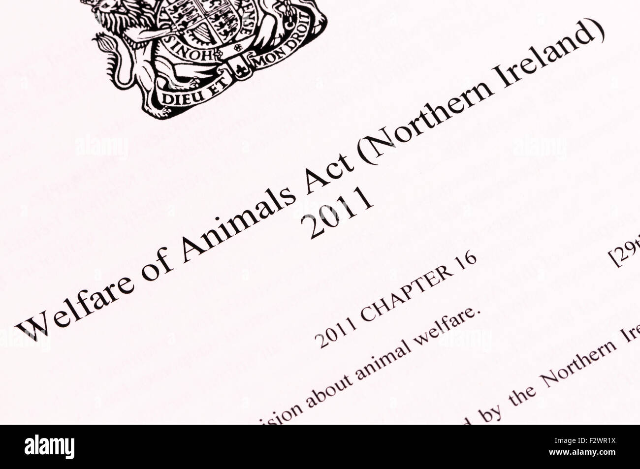 Welfare of Animals Act (Northern Ireland Stock Photo Alamy