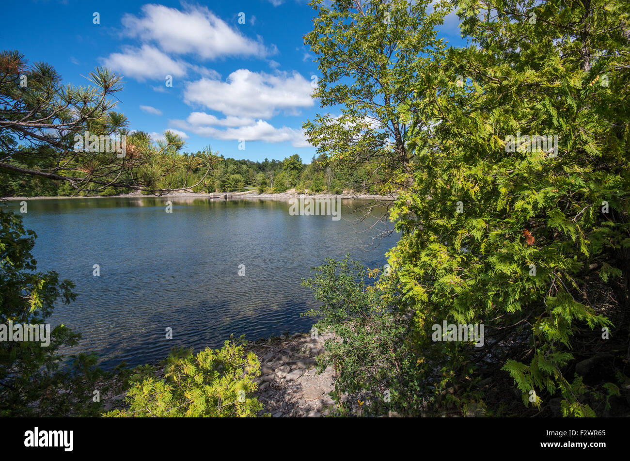 The beautiful Point Au Roche State Park in Upstate NY Stock Photo Alamy