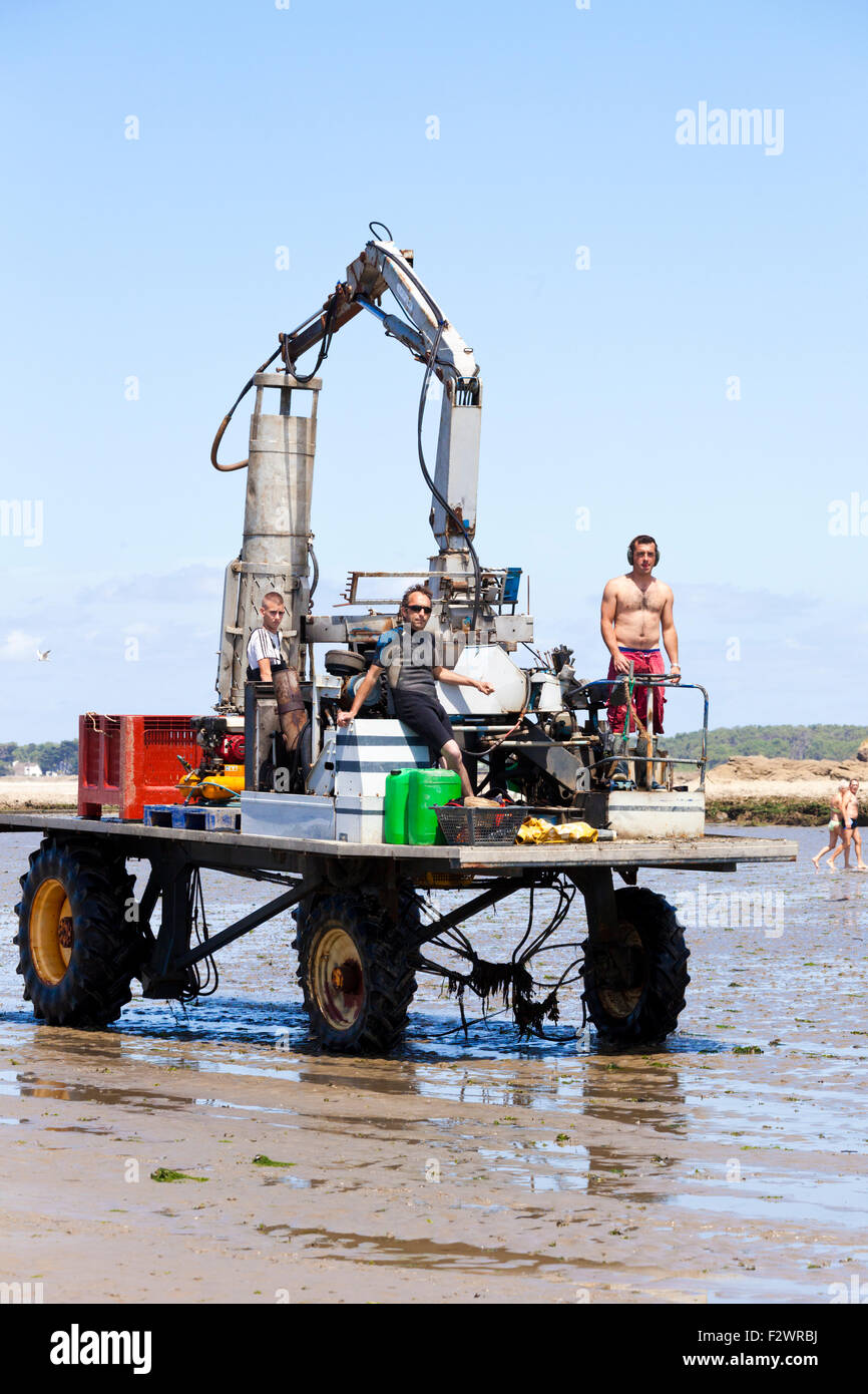 Mussel farming in Baie de Pen-Bé, Loire-Atlantique, France - The machine used to harvest the mussels from the stakes. Stock Photo