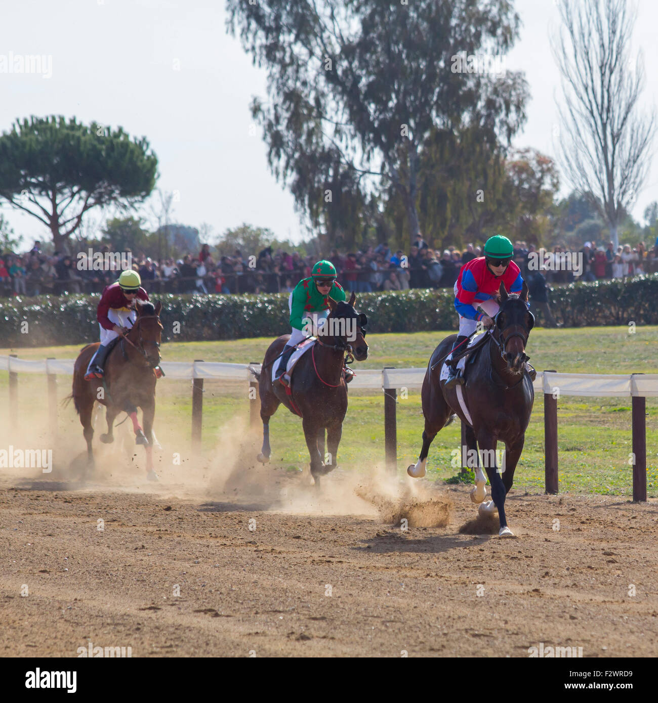 Jockeys riding horses during a competition Stock Photo Alamy