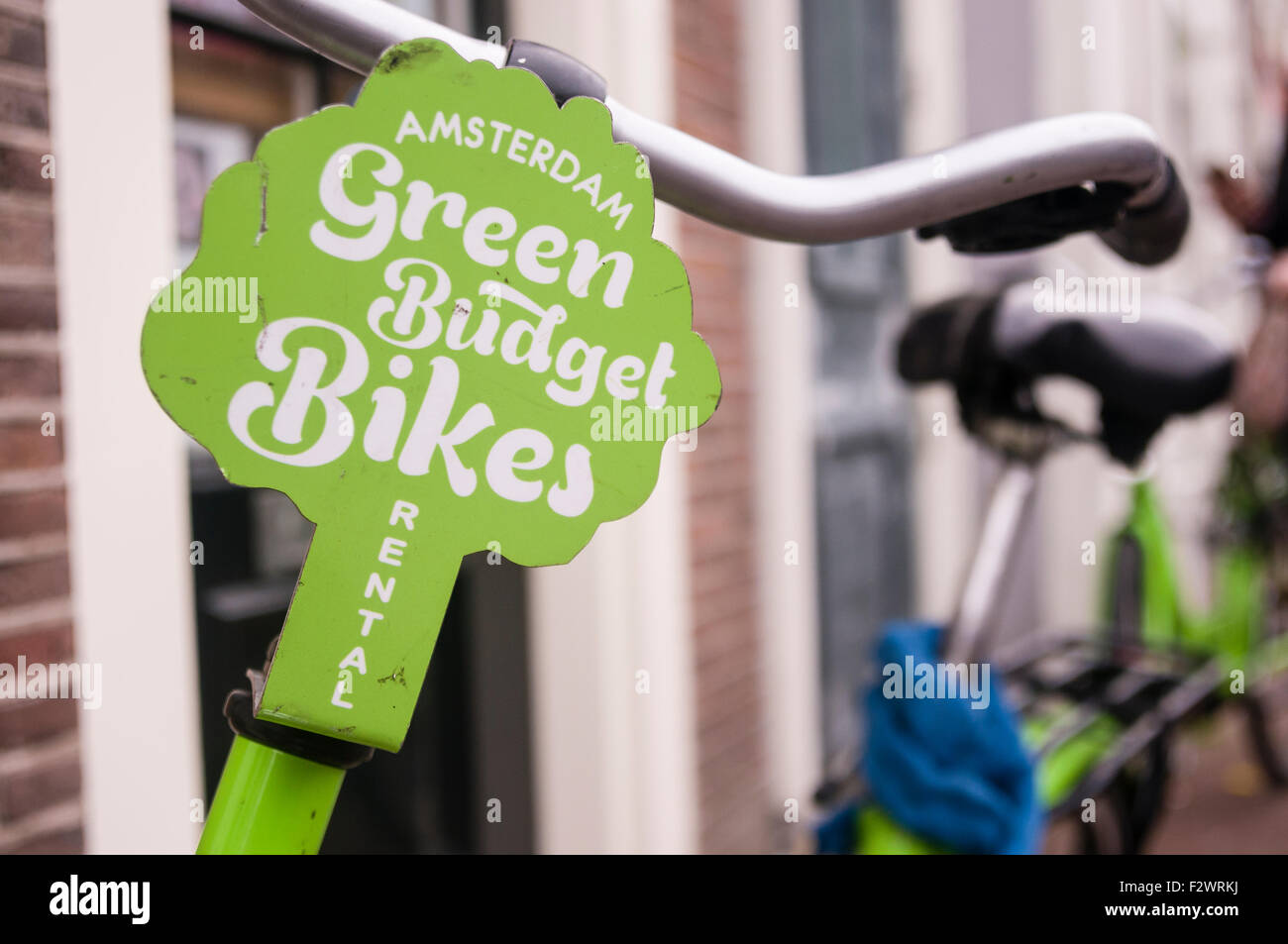 Green Budget Bikes cycle rental, Amsterdam Stock Photo Alamy