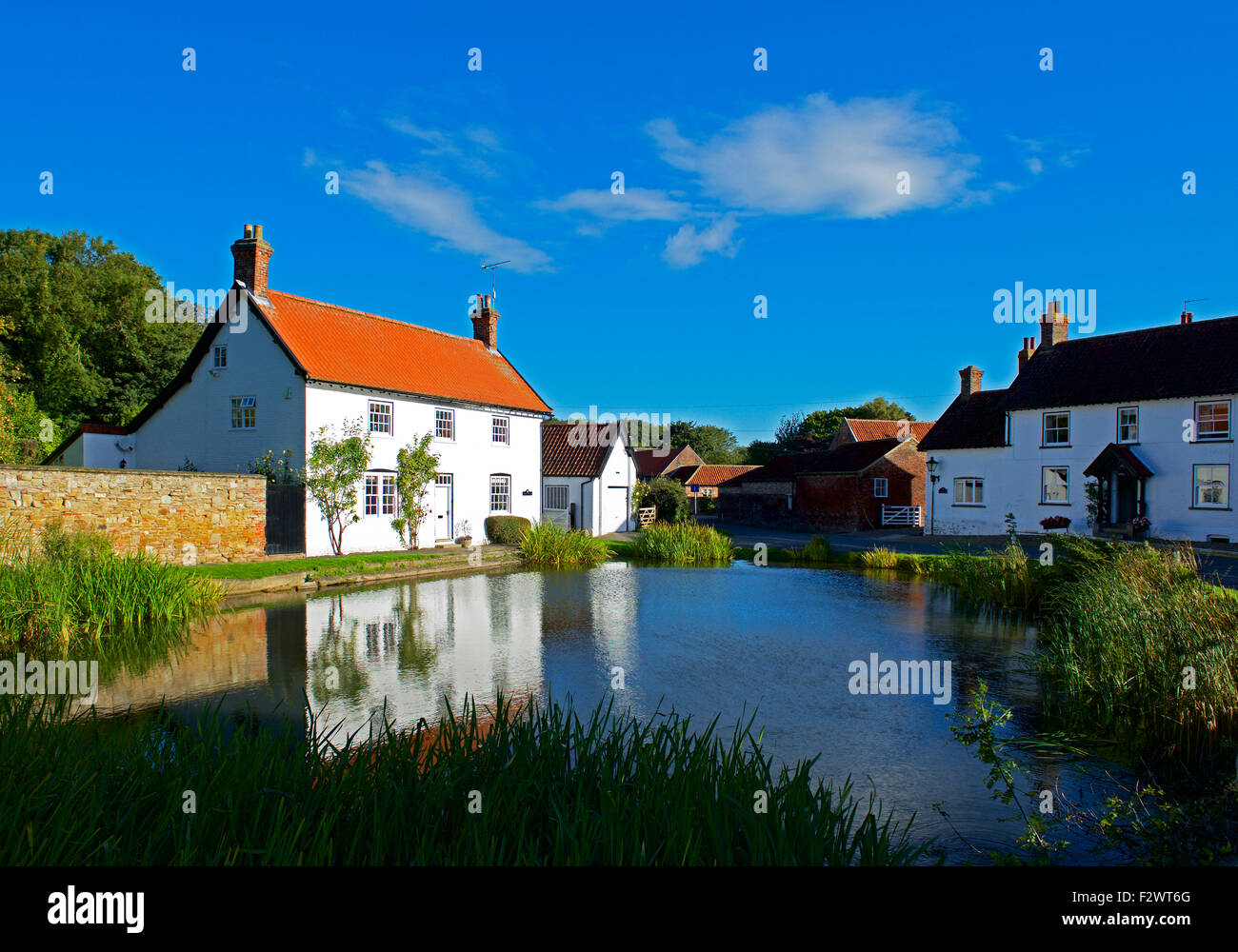 Cottage, and pond, in the village of Burton, East Riding