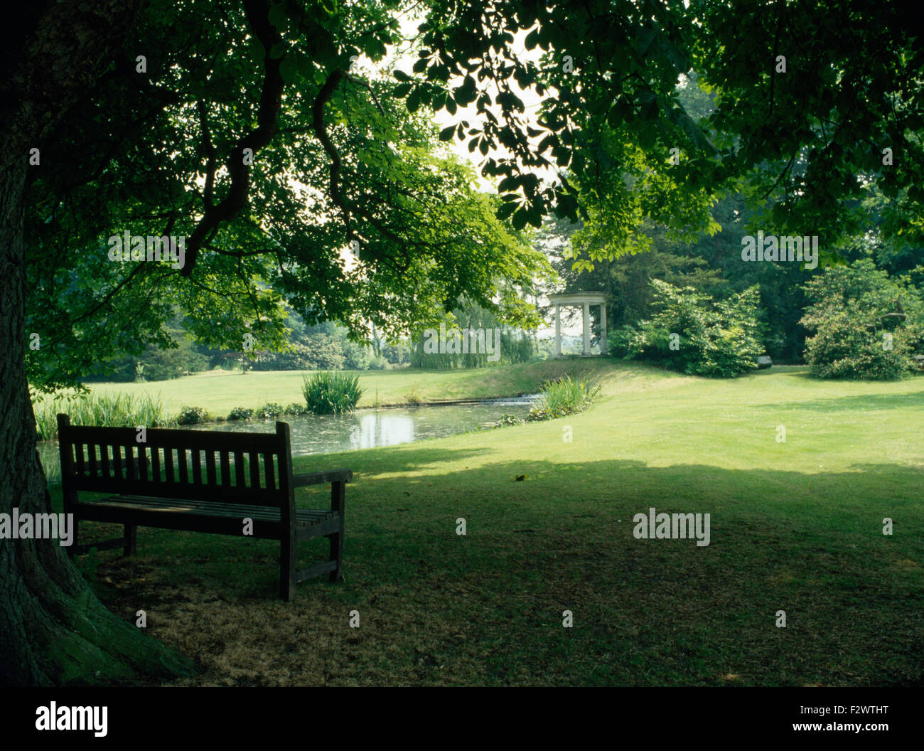 Wooden Bench In The Shade Of A Tree In A Large Country Garden With