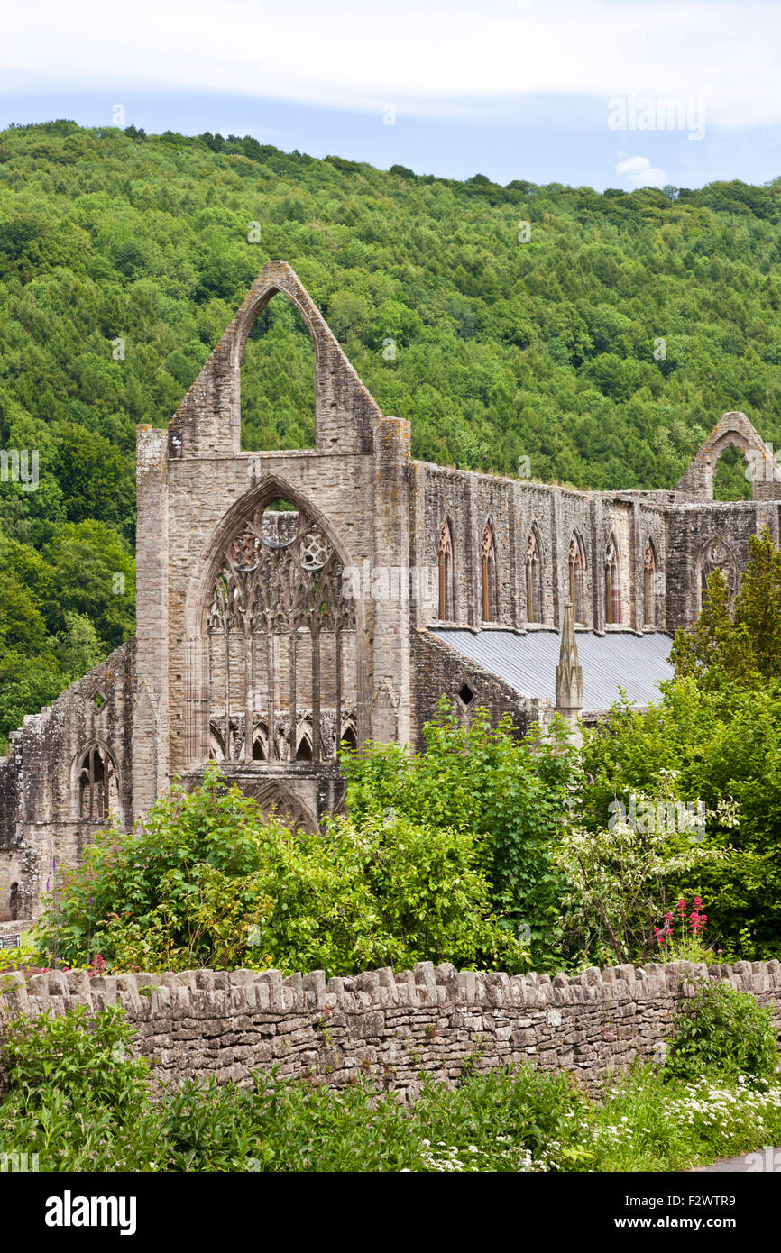 Tintern Abbey in the Wye Valley, Monmouthshire, Wales UK Stock Photo