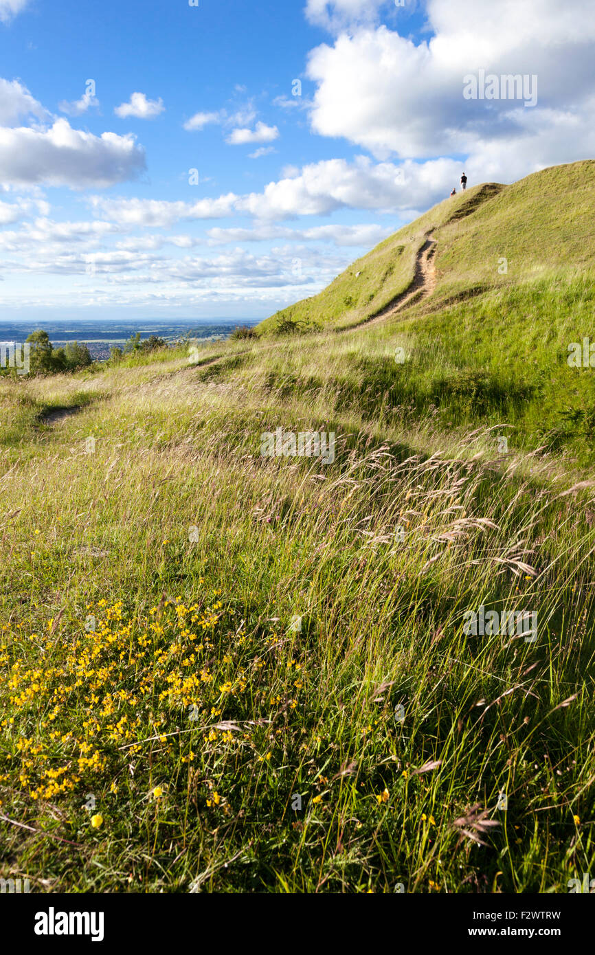 Some of the defensive ramparts and ditches of the Iron Age hillfort on  limestone grassland at Painswick Beacon, Gloucestershire UK Stock Photo