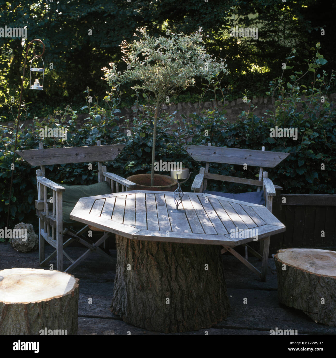Garden 2024 directors chairs