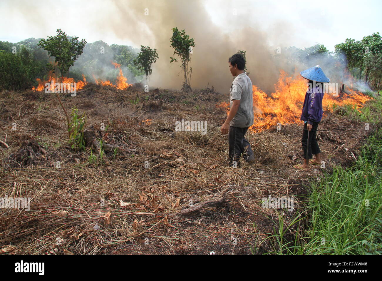 A resident light fires to clear land in Sambas district, West Kalimantan province. Stock Photo