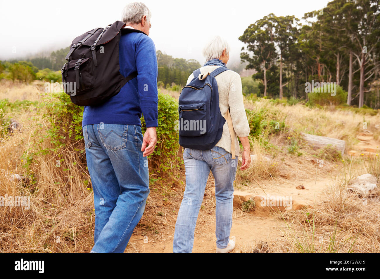 Senior couple walking together in a forest, close-up back view Stock ...