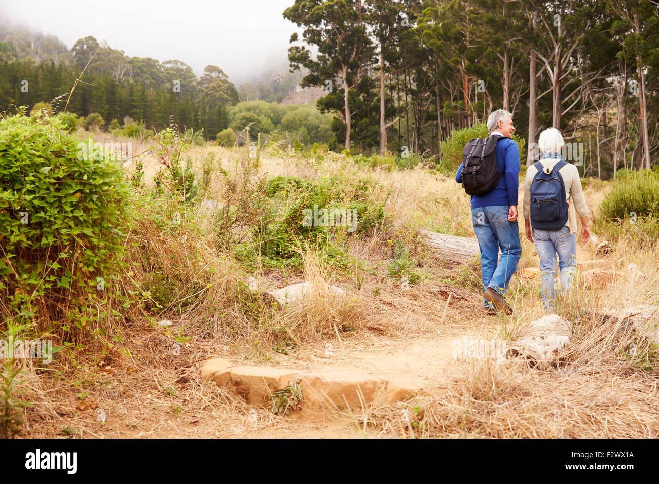 Senior couple walking together in a forest, back view Stock Photo - Alamy