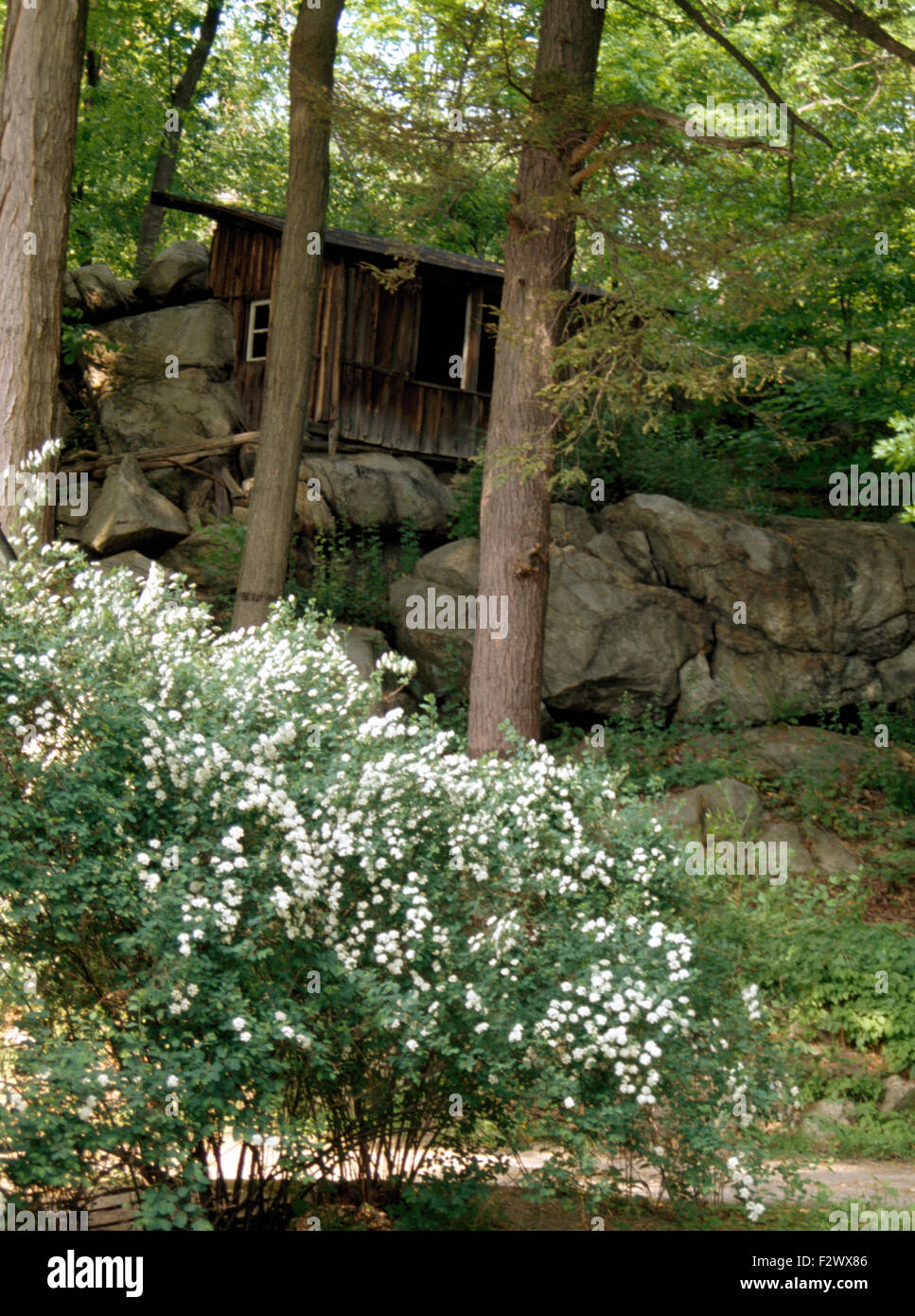 Wooden hut perched on large stone boulders on a wooded hillside on the East Coast of the United States Stock Photo