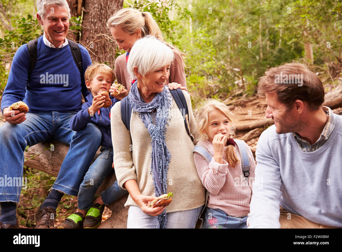 Multi-generation family eating together in a forest Stock Photo