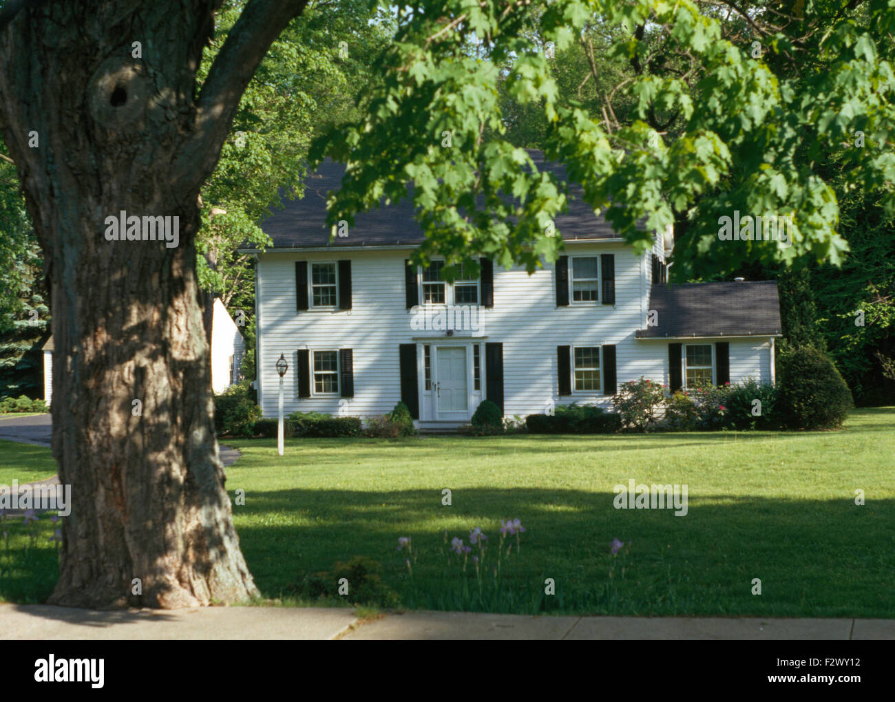 Shutters For Colonial Style House - Best Home Style Inspiration