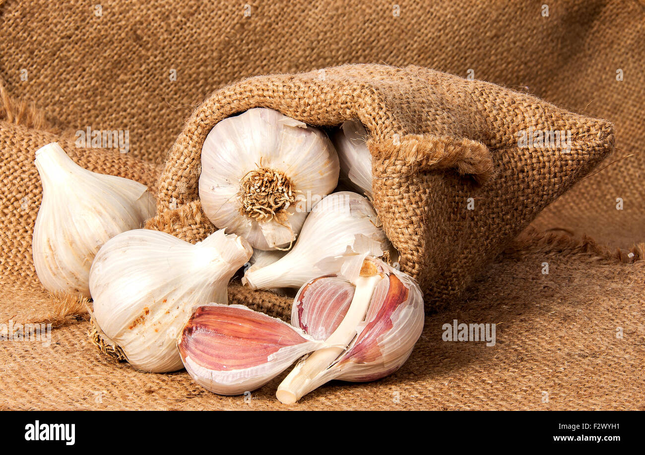 Whole garlic and cloves of garlic in a bag on sacking Stock Photo
