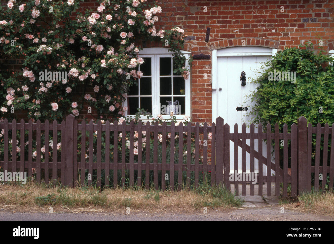 Wooden fence and gate in front of cottage with pink climbing roses and ...