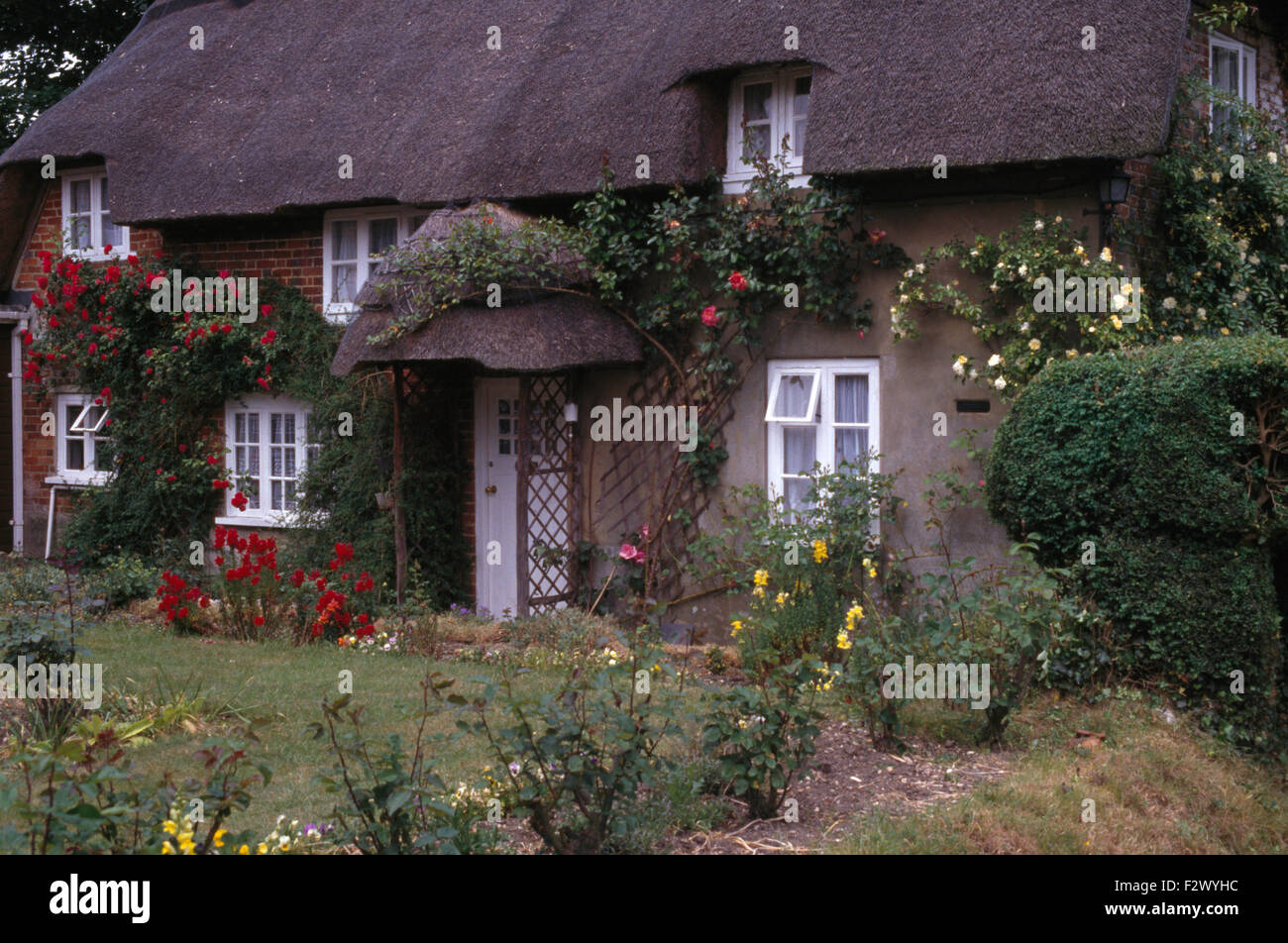 White cottage thatched roof hi-res stock photography and images - Alamy
