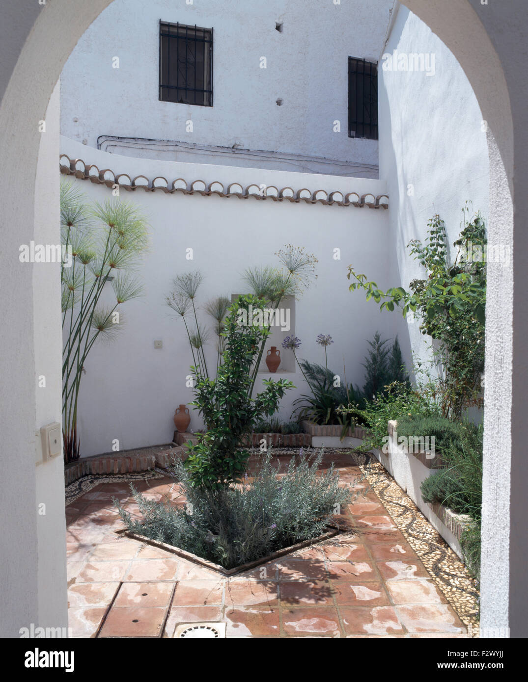 Green plants and herbs in raised beds in small paved Spanish courtyard