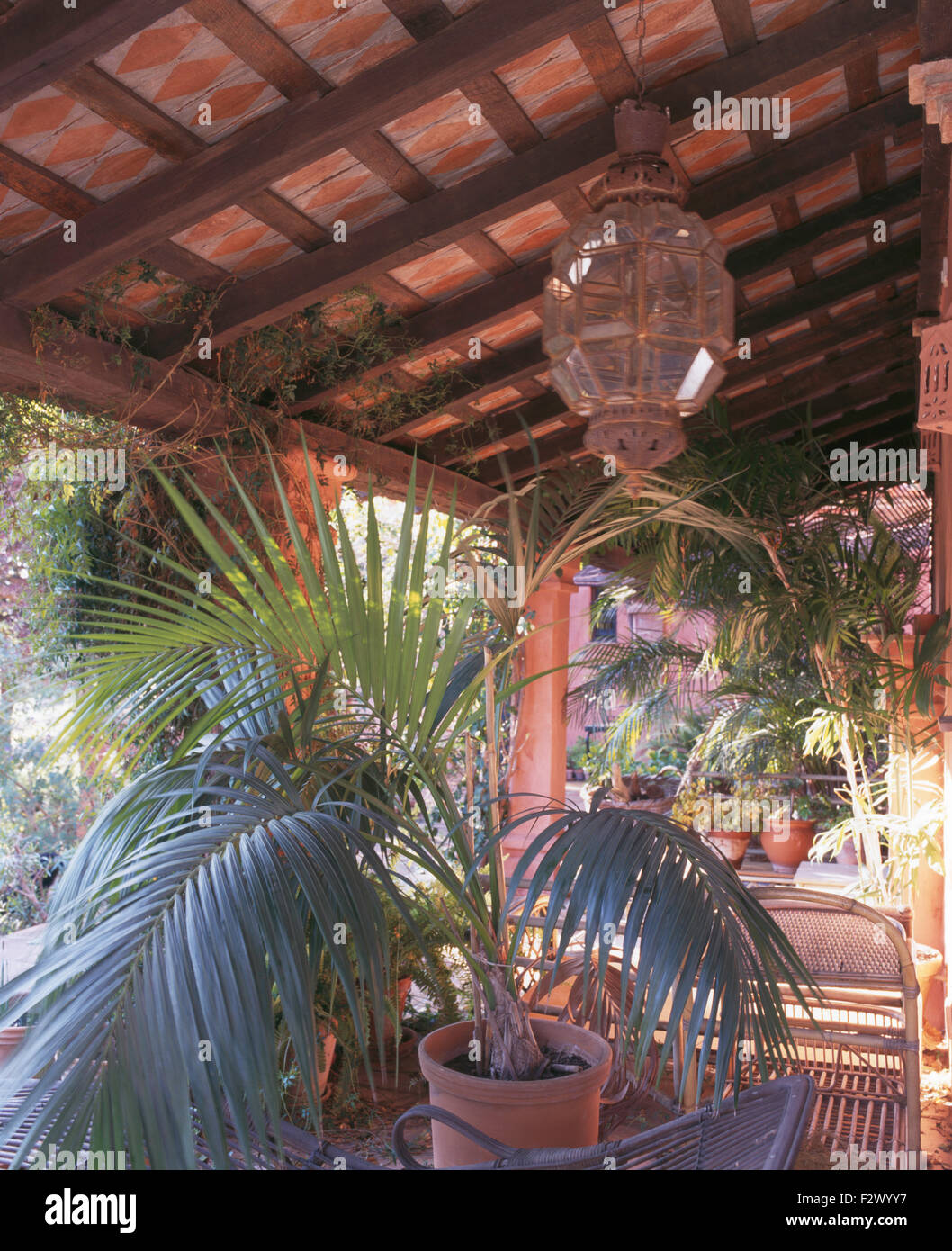 Potted palms on veranda of Spanish villa Stock Photo Alamy