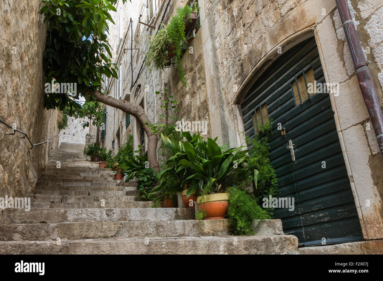 Narrow and empty alley, stairs and potted plants at the Old Town in Dubrovnik, Croatia, viewed from below. Stock Photo