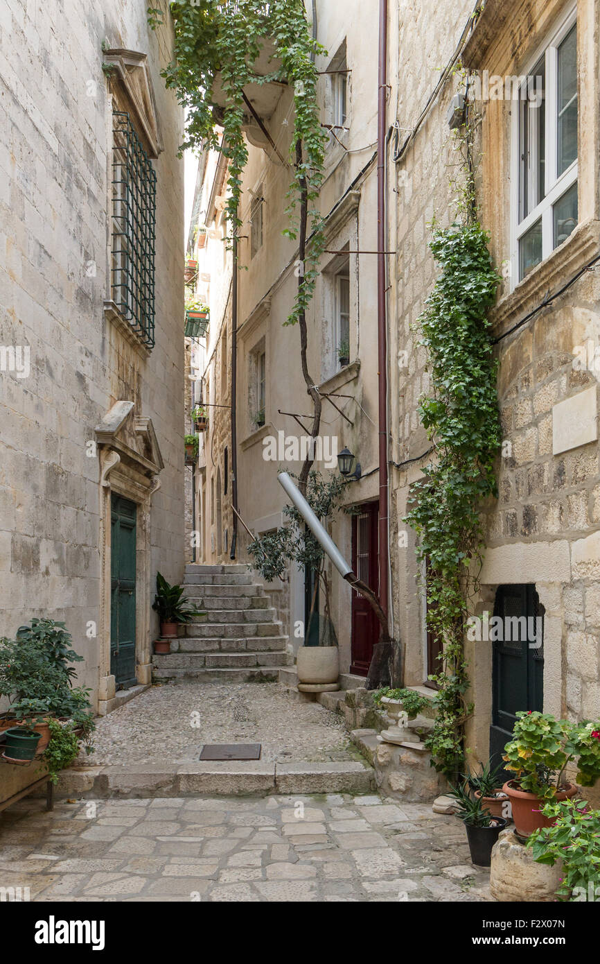 Narrow and empty alley, potted plants and vine on the wall at the Old Town in Dubrovnik, Croatia. Stock Photo