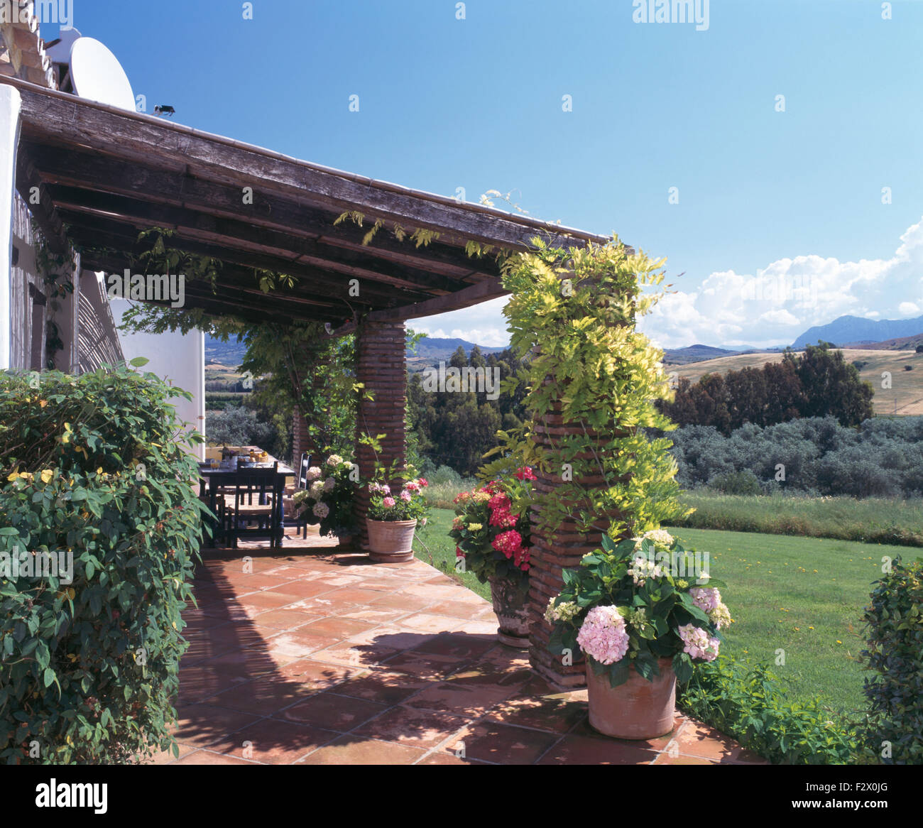 Pink hydrangea in pot on terracotta paved veranda of Spanish villa