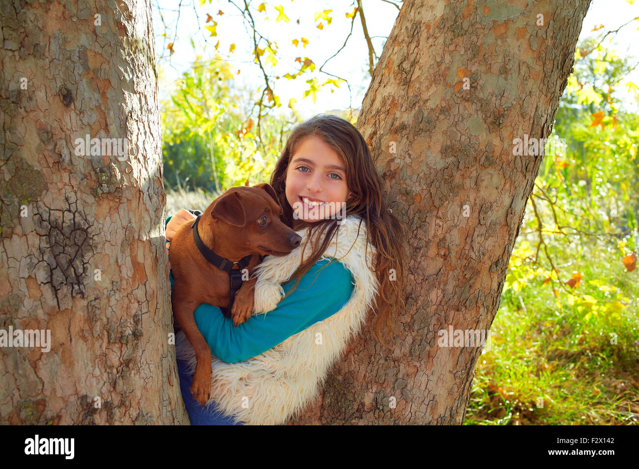 little girl and dog in the forest trees Stock Photo - Alamy