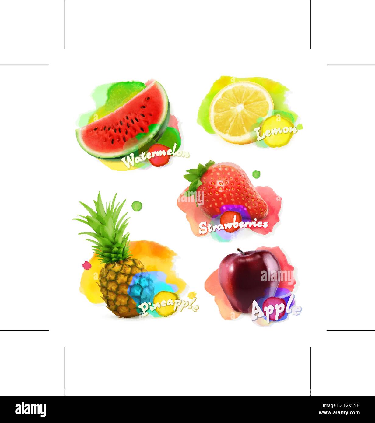 Fruit and berries watercolor, vector illustration set Stock Vector ...