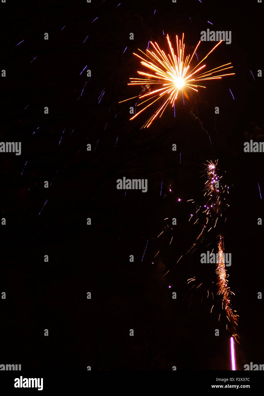 Firework in Night Sky Stock Photo